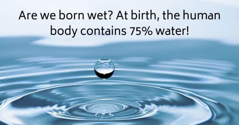 Are we born wet? At birth, the human body contains 75% water!