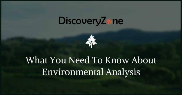 What You Need To Know About Environmental Analysis